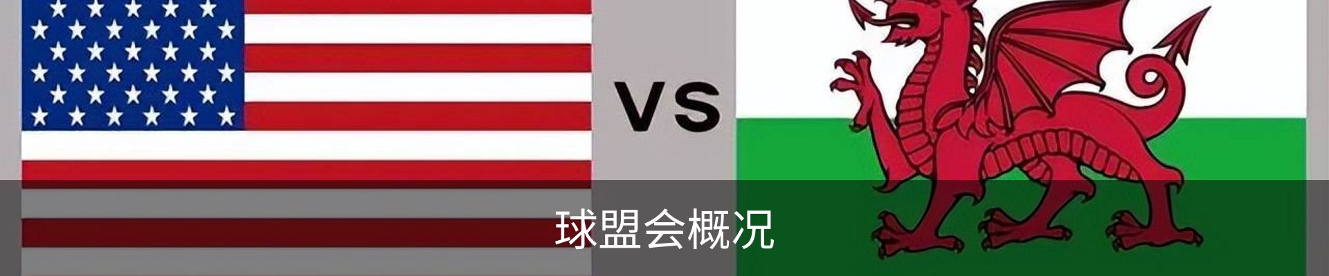 球盟会概况